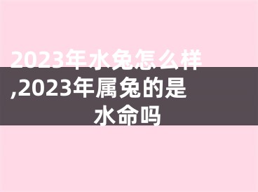 2023年水兔怎么样,2023年属兔的是水命吗