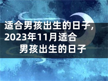 适合男孩出生的日子,2023年11月适合男孩出生的日子