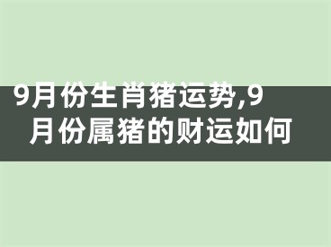 9月份生肖猪运势,9月份属猪的财运如何