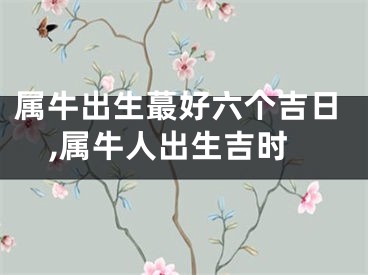 属牛出生蕞好六个吉日,属牛人出生吉时