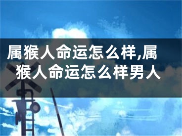 属猴人命运怎么样,属猴人命运怎么样男人