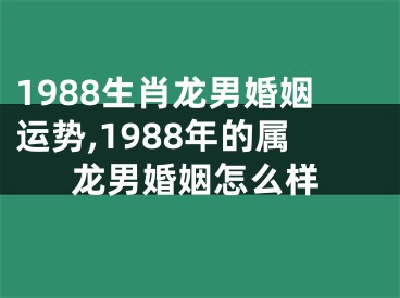 1988生肖龙男婚姻运势,1988年的属龙男婚姻怎么样