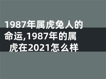 1987年属虎兔人的命运,1987年的属虎在2021怎么样