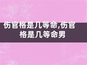 伤官格是几等命,伤官格是几等命男