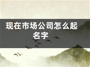  现在市场公司怎么起名字 