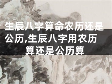 生辰八字算命农历还是公历,生辰八字用农历算还是公历算