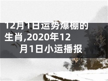 12月1日运势爆棚的生肖,2020年12月1日小运播报