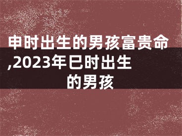 申时出生的男孩富贵命,2023年巳时出生的男孩