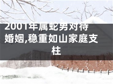 2001年属蛇男对待婚姻,稳重如山家庭支柱