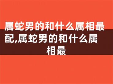 属蛇男的和什么属相最配,属蛇男的和什么属相最