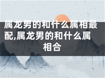 属龙男的和什么属相最配,属龙男的和什么属相合