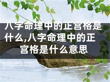 八字命理中的正宫格是什么,八字命理中的正宫格是什么意思