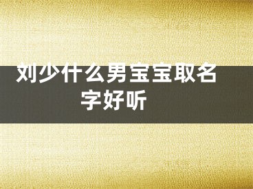  刘少什么男宝宝取名字好听 