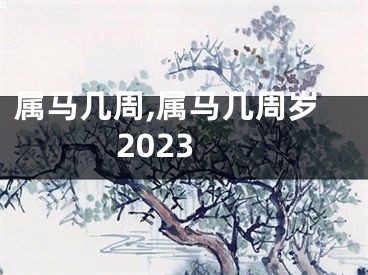 属马几周,属马几周岁2023