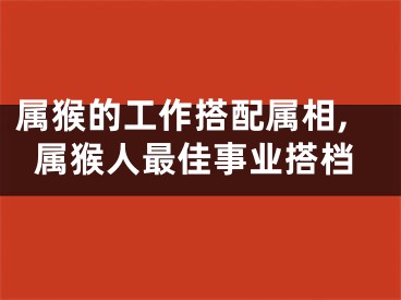 属猴的工作搭配属相,属猴人最佳事业搭档