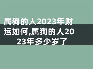 属狗的人2023年财运如何,属狗的人2023年多少岁了