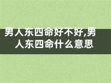 男人东四命好不好,男人东四命什么意思