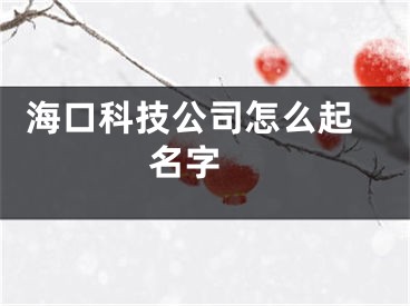  海口科技公司怎么起名字 