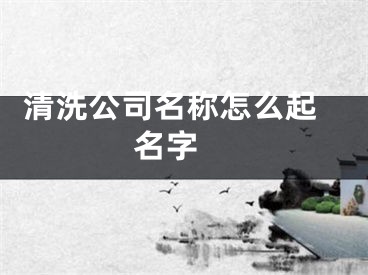  清洗公司名称怎么起名字 