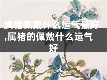 属猪佩戴什么运气最好,属猪的佩戴什么运气好