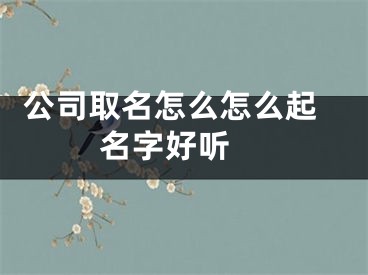  公司取名怎么怎么起名字好听 