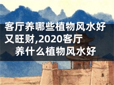 客厅养哪些植物风水好又旺财,2020客厅养什么植物风水好