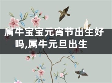 属牛宝宝元宵节出生好吗,属牛元旦出生