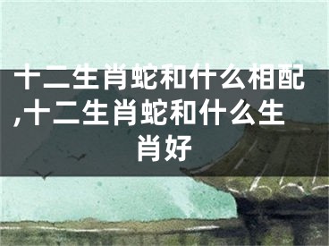 十二生肖蛇和什么相配,十二生肖蛇和什么生肖好