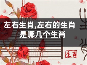 左右生肖,左右的生肖是哪几个生肖