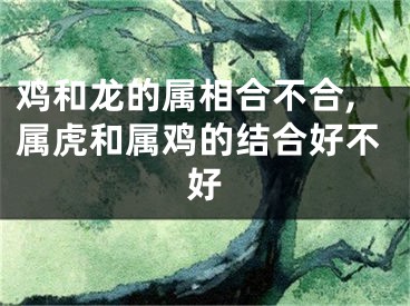 鸡和龙的属相合不合,属虎和属鸡的结合好不好