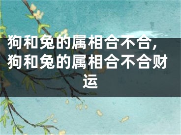 狗和兔的属相合不合,狗和兔的属相合不合财运