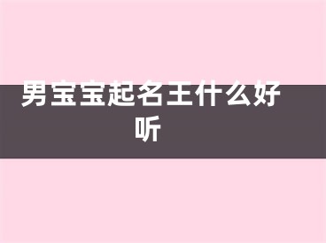  男宝宝起名王什么好听 