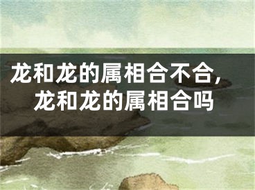 龙和龙的属相合不合,龙和龙的属相合吗