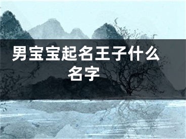  男宝宝起名王子什么名字 