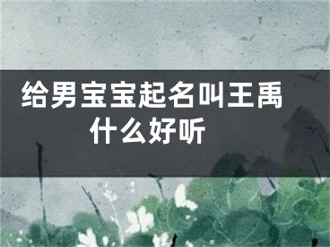  给男宝宝起名叫王禹什么好听 