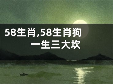 58生肖,58生肖狗一生三大坎