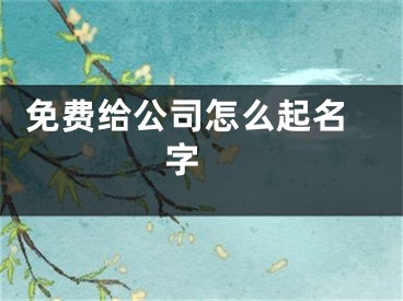  免费给公司怎么起名字 