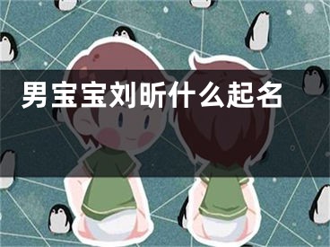  男宝宝刘昕什么起名 