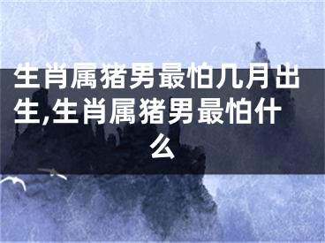 生肖属猪男最怕几月出生,生肖属猪男最怕什么