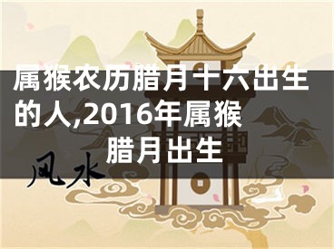 属猴农历腊月十六出生的人,2016年属猴腊月出生