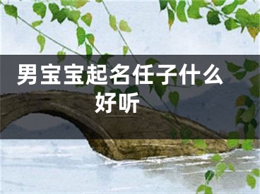  男宝宝起名任子什么好听 