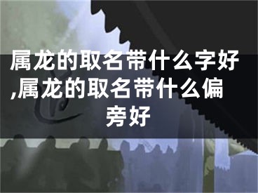 属龙的取名带什么字好,属龙的取名带什么偏旁好