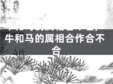 牛和马的属相合不合,牛和马的属相合作合不合