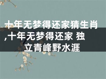 十年无梦得还家猜生肖,十年无梦得还家 独立青峰野水涯