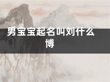  男宝宝起名叫刘什么博 