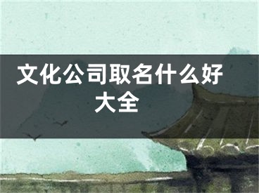  文化公司取名什么好大全 