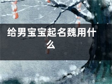  给男宝宝起名魏用什么 