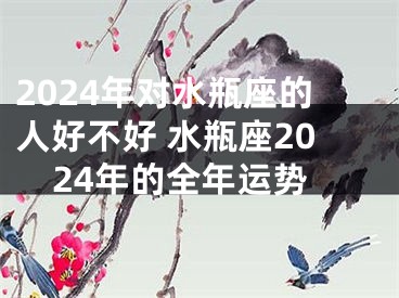 2024年对水瓶座的人好不好 水瓶座2024年的全年运势