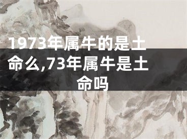 1973年属牛的是土命么,73年属牛是土命吗