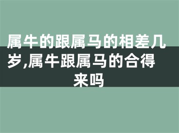 属牛的跟属马的相差几岁,属牛跟属马的合得来吗